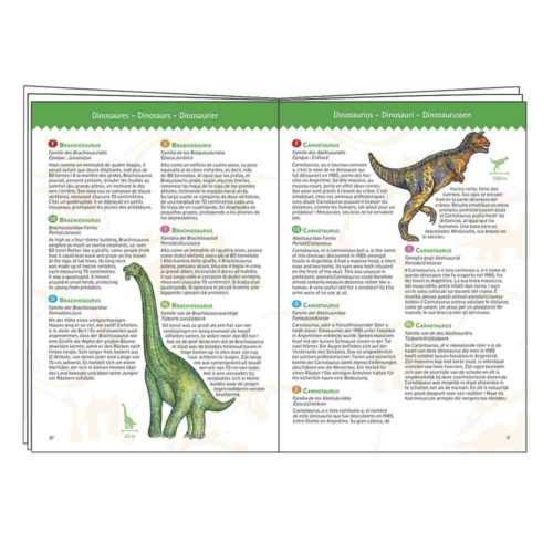 Puzle observació - Dinosaures