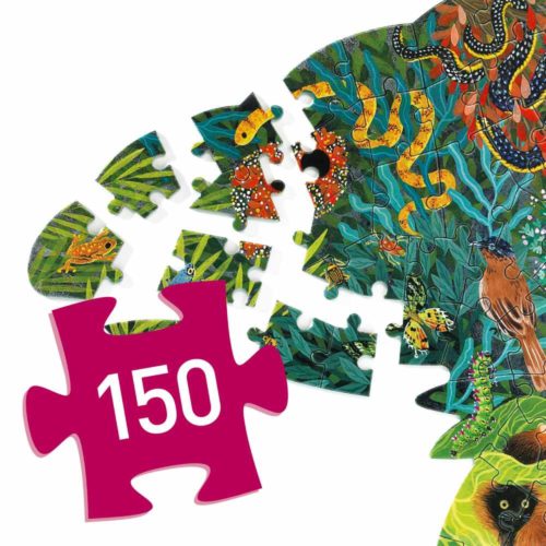 puzzle art-chameleon