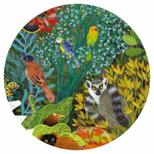 puzzle art-chameleon