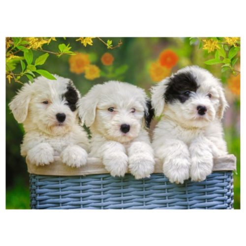 puzzle-ravensburger-cachorros-mimosos-xxl-de-200-p (1)