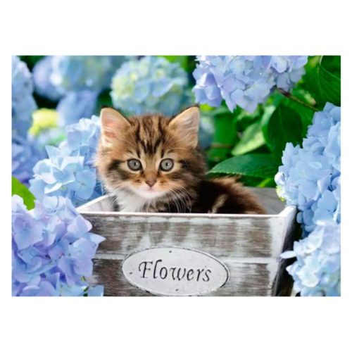 puzzle-ravensburger-gatito-de-300-piezas-xxl-1-227