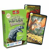 Dino challenge – Caixa verda